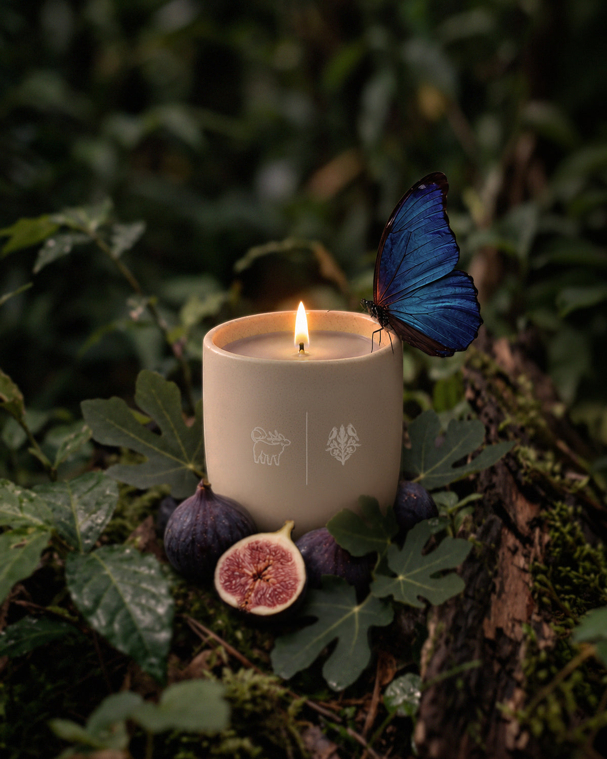Studio Qiling Fig & Forest scented candle with a forest-inspired design, featuring a natural wax finish and botanical accents.